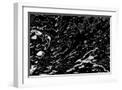 White Frame