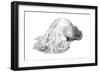 Abstract Creature with Black Grain-Ryuichirou Motomura-Framed Art Print