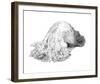 Abstract Creature with Black Grain-Ryuichirou Motomura-Framed Art Print