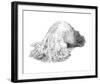 Abstract Creature with Black Grain-Ryuichirou Motomura-Framed Art Print