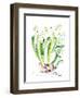 Abstract Daffodils-Enya Todd-Framed Art Print