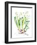 Abstract Daffodils-Enya Todd-Framed Art Print