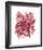 Abstract Dahlia-Kiana Mosley-Framed Giclee Print