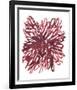 Abstract Dahlia-Kiana Mosley-Framed Art Print