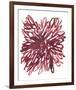 Abstract Dahlia-Kiana Mosley-Framed Art Print