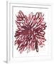 Abstract Dahlia-Kiana Mosley-Framed Art Print