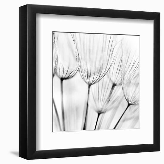 Abstract Dandelion Flower-null-Framed Art Print