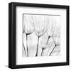 Abstract Dandelion Flower-null-Framed Art Print