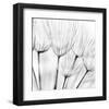 Abstract Dandelion Flower-null-Framed Art Print