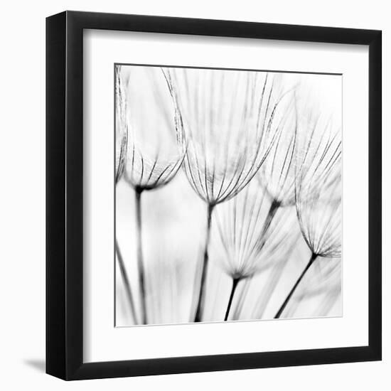 Abstract Dandelion Flower-null-Framed Art Print