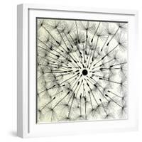 Abstract Dandelion Illustration Spring Concept-Kristaps Eberlins-Framed Art Print