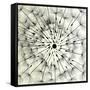 Abstract Dandelion Illustration Spring Concept-Kristaps Eberlins-Framed Stretched Canvas