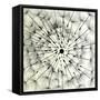 Abstract Dandelion Illustration Spring Concept-Kristaps Eberlins-Framed Stretched Canvas