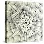 Abstract Dandelion Illustration Spring Concept-Kristaps Eberlins-Stretched Canvas