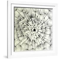 Abstract Dandelion Illustration Spring Concept-Kristaps Eberlins-Framed Art Print