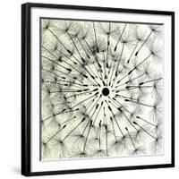 Abstract Dandelion Illustration Spring Concept-Kristaps Eberlins-Framed Art Print