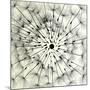 Abstract Dandelion Illustration Spring Concept-Kristaps Eberlins-Mounted Art Print