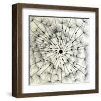 Abstract Dandelion Illustration Spring Concept-Kristaps Eberlins-Framed Art Print