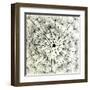 Abstract Dandelion Illustration Spring Concept-Kristaps Eberlins-Framed Art Print