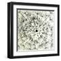 Abstract Dandelion Illustration Spring Concept-Kristaps Eberlins-Framed Art Print