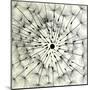 Abstract Dandelion Illustration Spring Concept-Kristaps Eberlins-Mounted Art Print