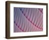 Abstract Digital Graphic Background, Parametric 3D-eugenesergeev-Framed Photographic Print