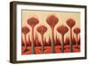 Abstract Dragon Blood Trees-Lea Faucher-Framed Art Print