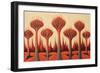 Abstract Dragon Blood Trees-Lea Faucher-Framed Art Print