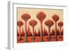 Abstract Dragon Blood Trees-Lea Faucher-Framed Art Print