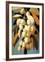 Abstract Emperor Lychee Fruit-Lea Faucher-Framed Art Print