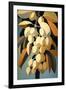 Abstract Emperor Lychee Fruit-Lea Faucher-Framed Art Print