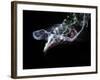 Abstract Fantasy Smoke Texture Background-Veneratio-Framed Photographic Print