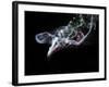 Abstract Fantasy Smoke Texture Background-Veneratio-Framed Photographic Print