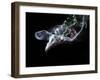 Abstract Fantasy Smoke Texture Background-Veneratio-Framed Photographic Print