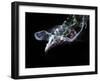 Abstract Fantasy Smoke Texture Background-Veneratio-Framed Photographic Print