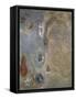 Abstract Fantasy-Odilon Redon-Framed Stretched Canvas