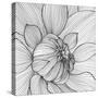 Abstract Floral Background. Vector Flower Dahlia. Element for Design.-Helga Pataki-Stretched Canvas