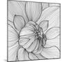 Abstract Floral Background. Vector Flower Dahlia. Element for Design.-Helga Pataki-Mounted Art Print