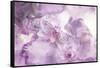 Abstract Floral Background- Watercolor Grunge Texture-run4it-Framed Stretched Canvas