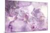 Abstract Floral Background- Watercolor Grunge Texture-run4it-Mounted Premium Giclee Print