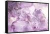 Abstract Floral Background- Watercolor Grunge Texture-run4it-Framed Stretched Canvas