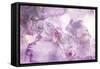 Abstract Floral Background- Watercolor Grunge Texture-run4it-Framed Stretched Canvas