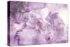 Abstract Floral Background- Watercolor Grunge Texture-run4it-Stretched Canvas