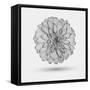 Abstract Floral Background-Helga Pataki-Framed Stretched Canvas
