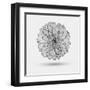 Abstract Floral Background-Helga Pataki-Framed Art Print