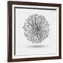 Abstract Floral Background-Helga Pataki-Framed Art Print