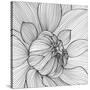 Abstract Floral Background-Helga Pataki-Stretched Canvas