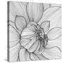 Abstract Floral Background-Helga Pataki-Stretched Canvas