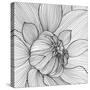 Abstract Floral Background-Helga Pataki-Stretched Canvas