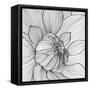 Abstract Floral Background-Helga Pataki-Framed Stretched Canvas